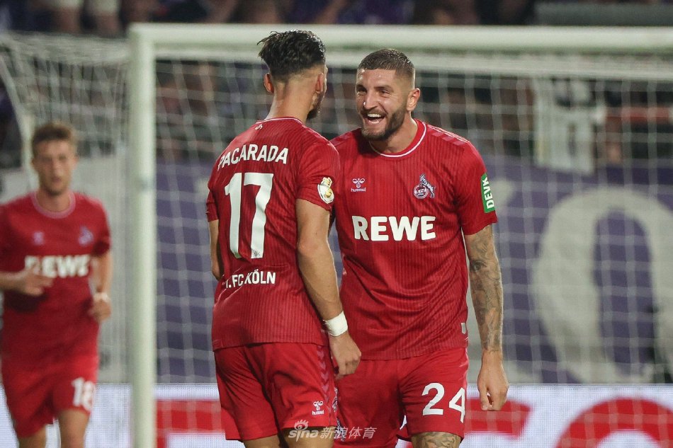 你需要我补 你需要我补