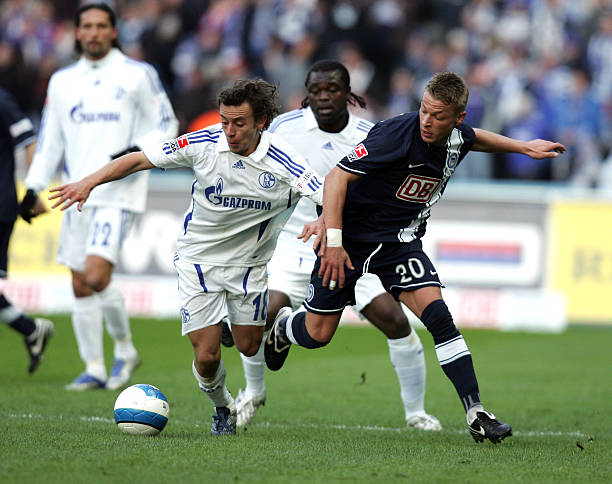 他们不仅仅 他们不仅仅